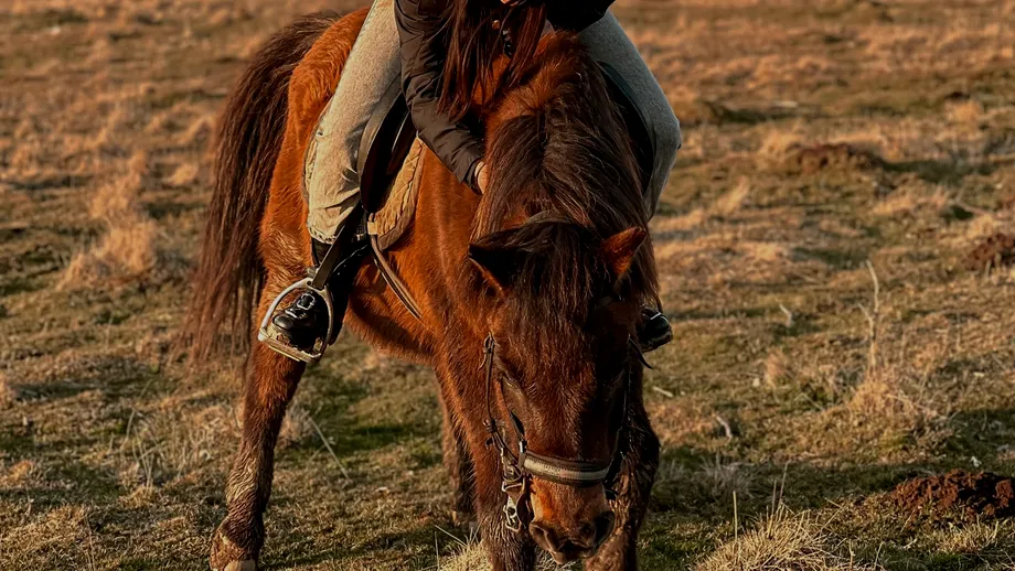 TOP 5 lucruri pe care să le faci în județul Harghita