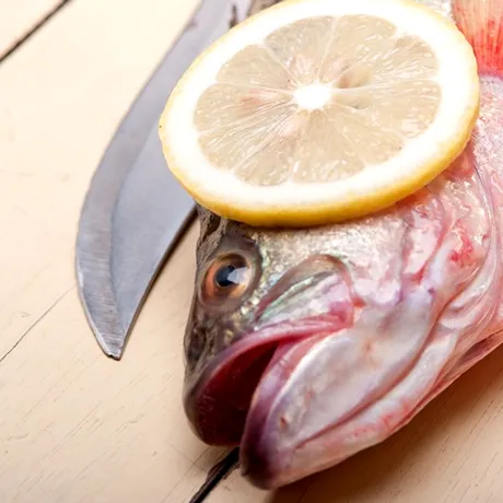 De ce să îngropi un cap de pește în grădina cu roșii. Trucurile nebănuite ale unui grădinar de succes pentru un pământ fertil